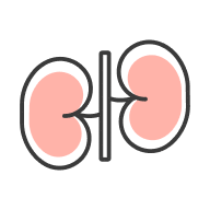 Kidney